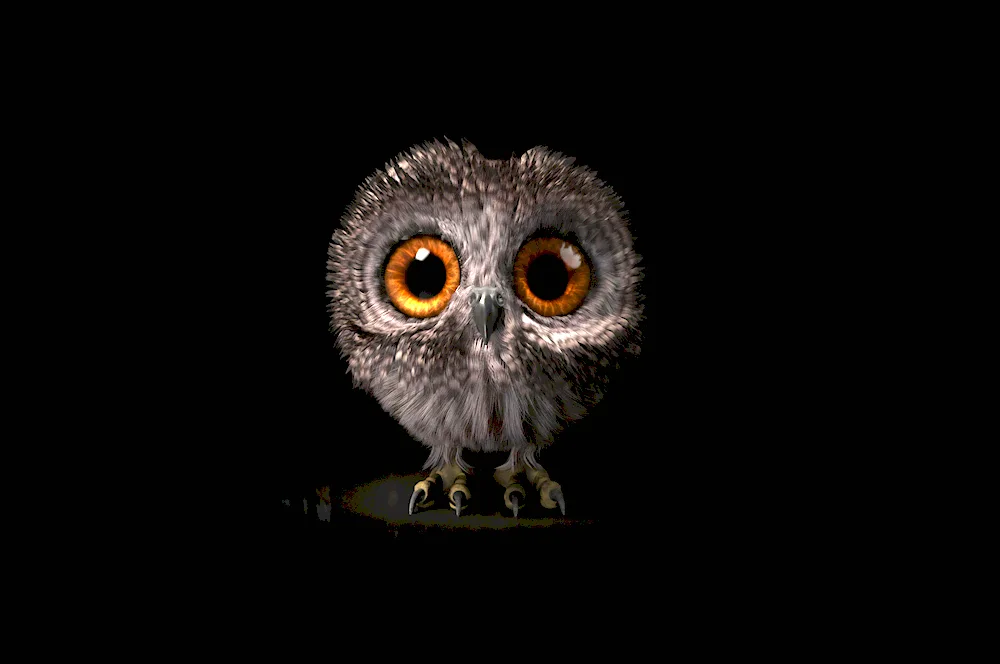 Owl on black background