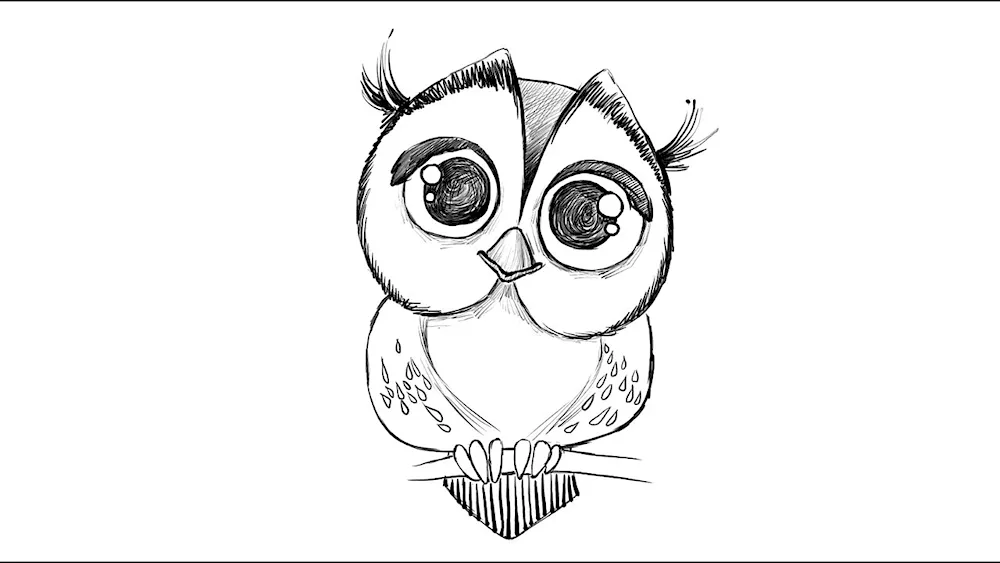 Owl drawings