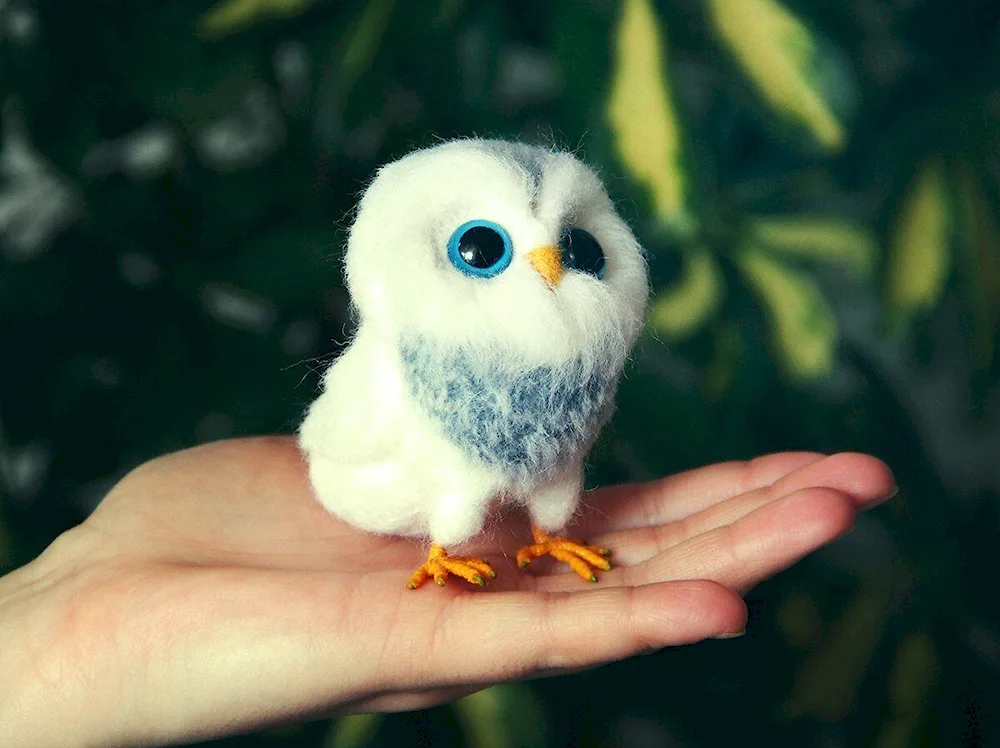 Philin Owl owl owl owl owl owl owl chick