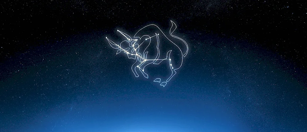 The constellation of Taurus