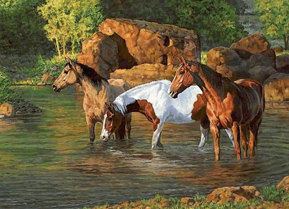 Horses in the steppe