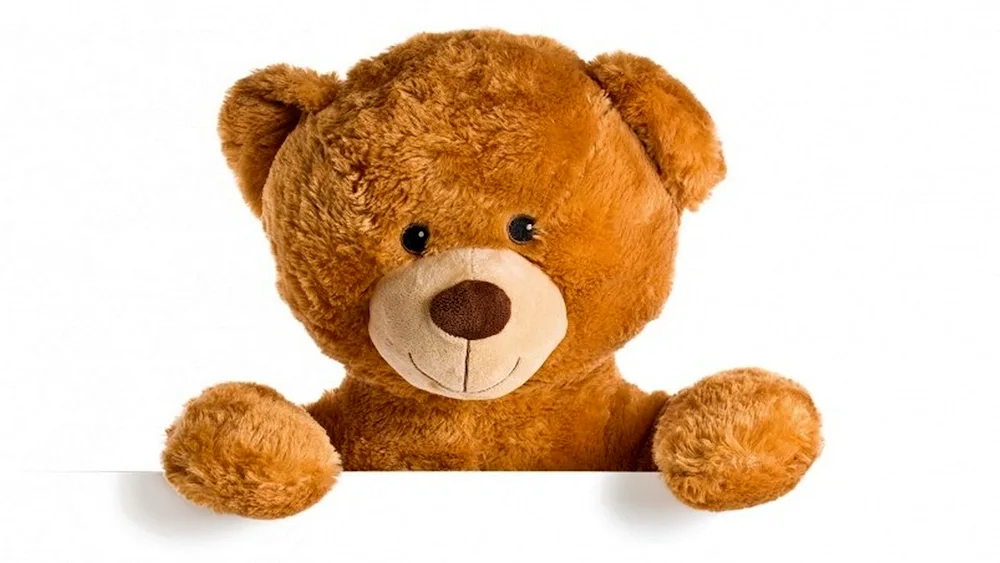 Teddy bear