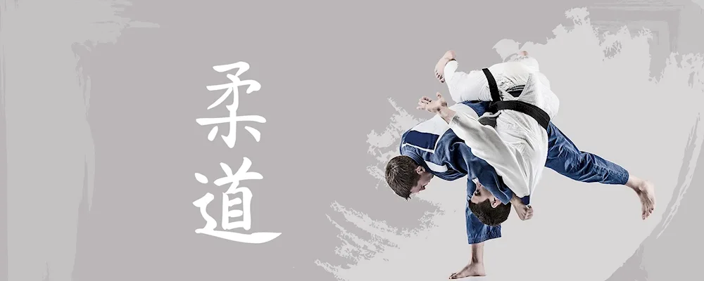 Judo background