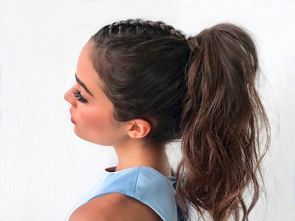 Bun hairstyle at the back of the head