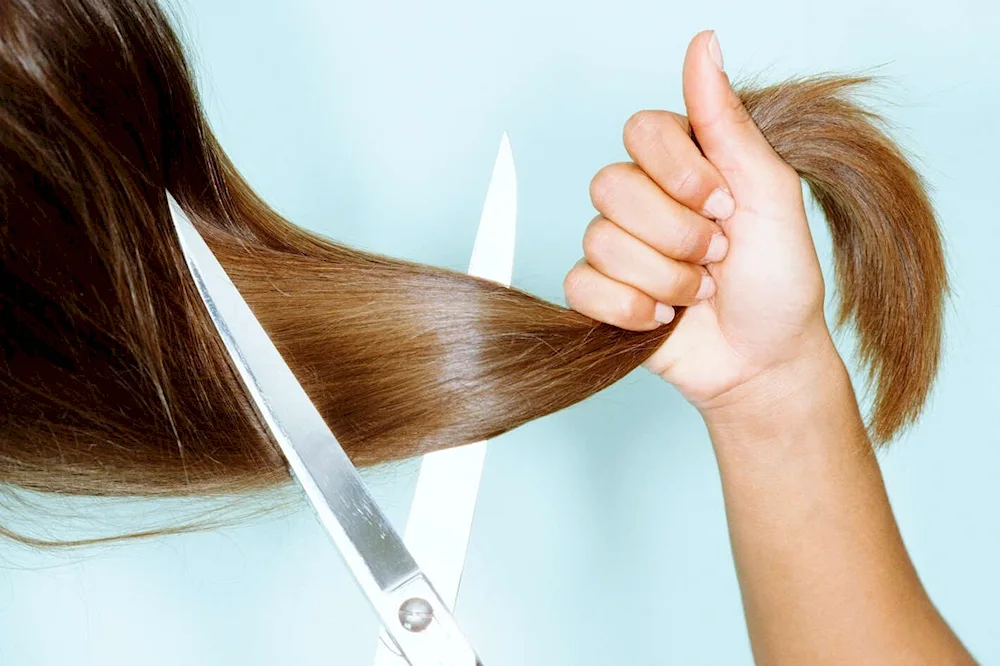 Cutting hair hair