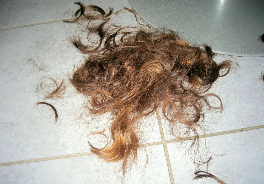Cut hair