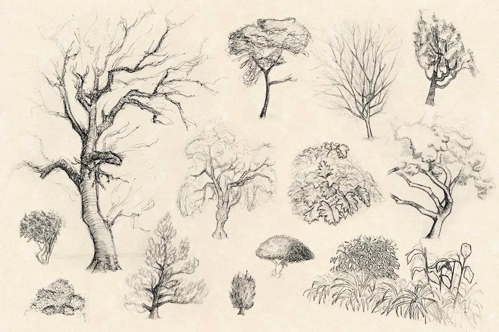 Tree drawing