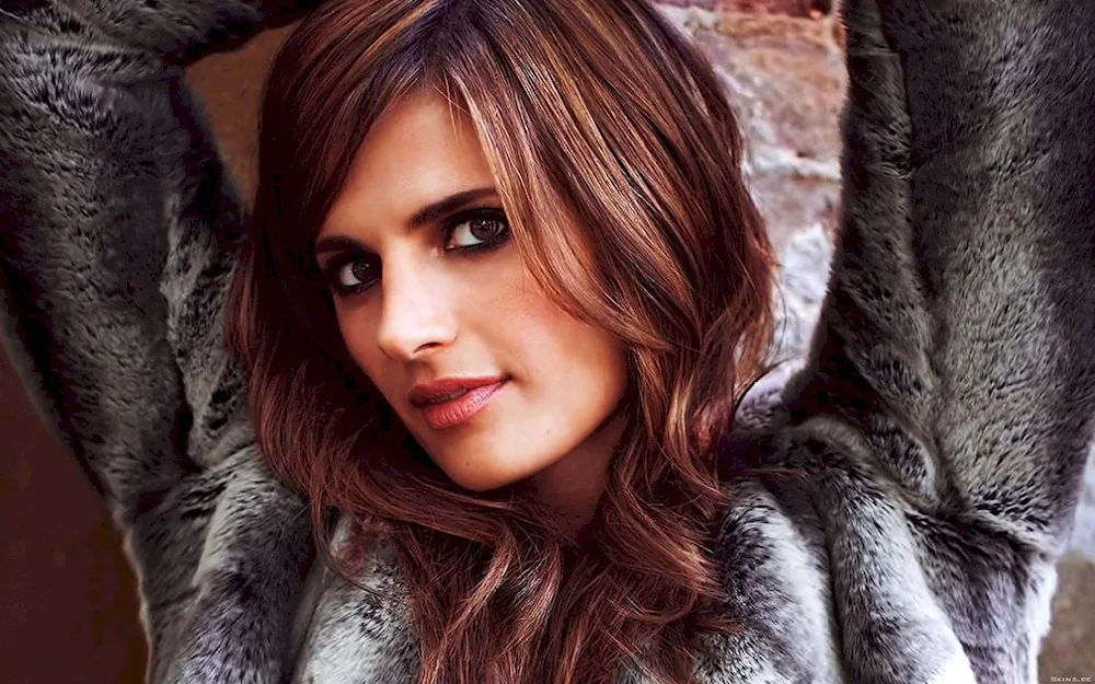 Stana Katic