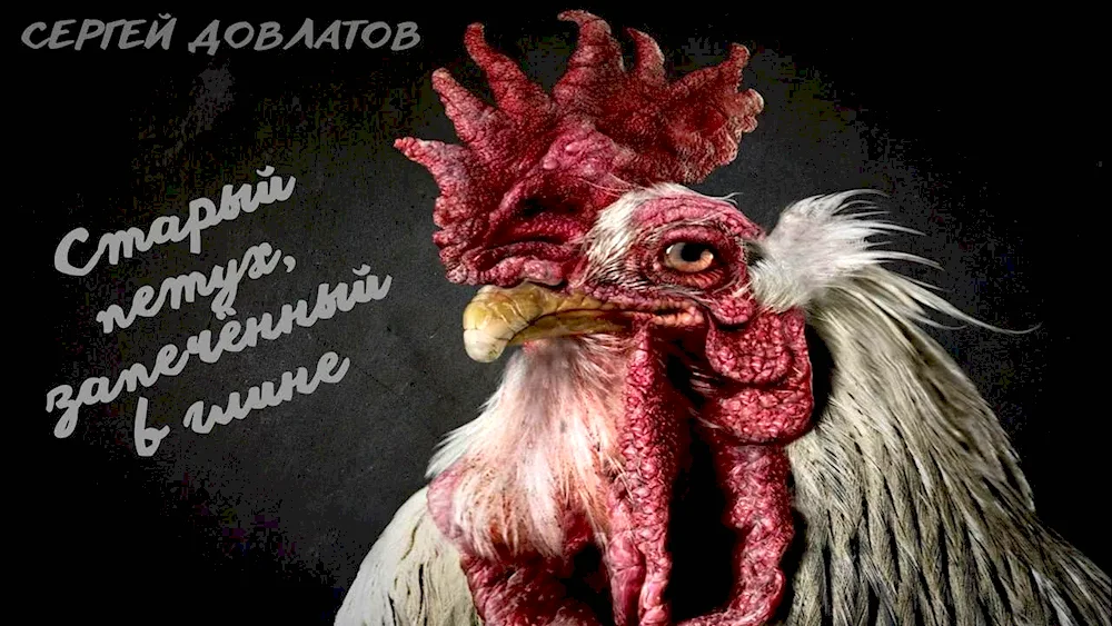 Red cockerel