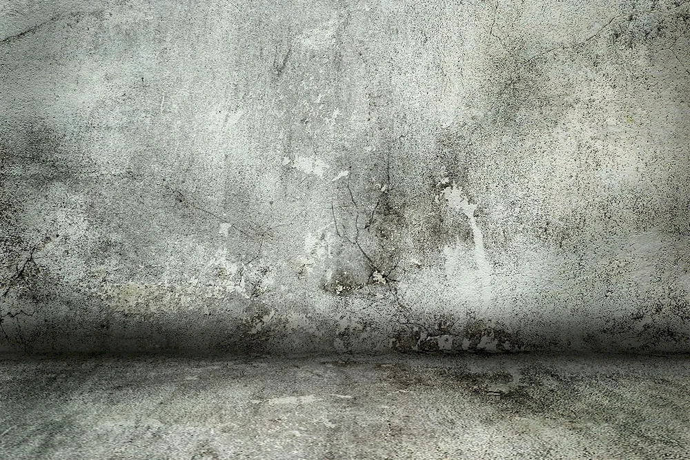 Concrete wall