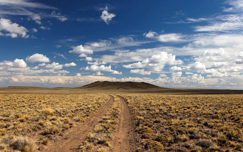 The steppe panorama