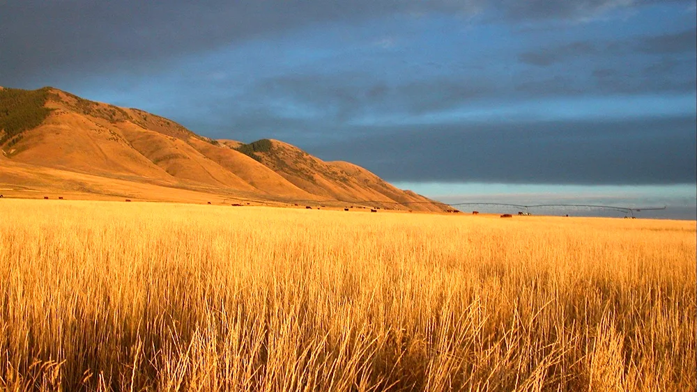 The steppes of Kazakhstan