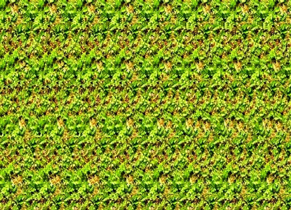 Stereograms Buda