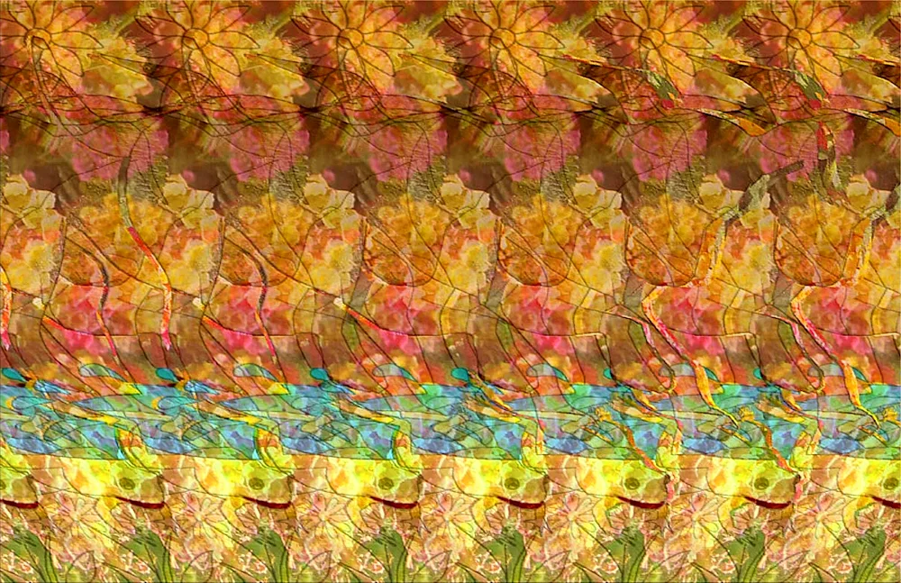 Rose stereogram