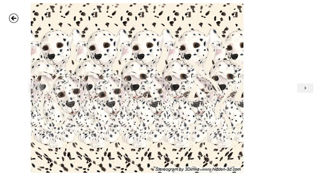 Stereograms for vision 2020 complex