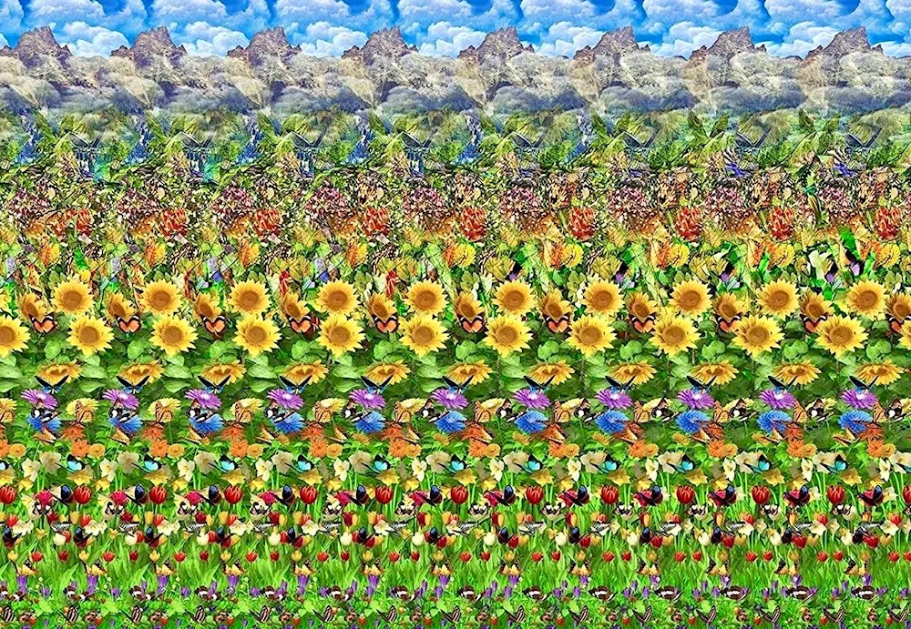 Magic Eye