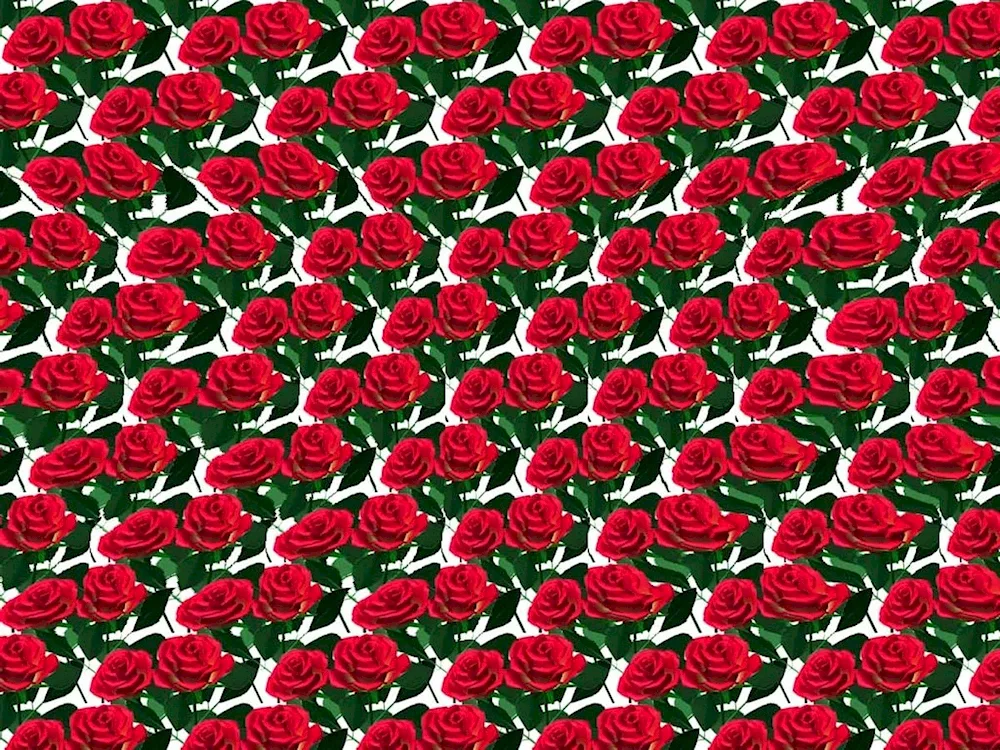 Eye stereograms