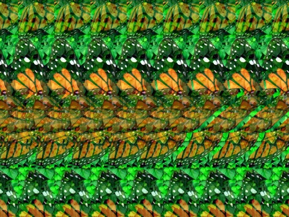 Stereograms for vision 2020