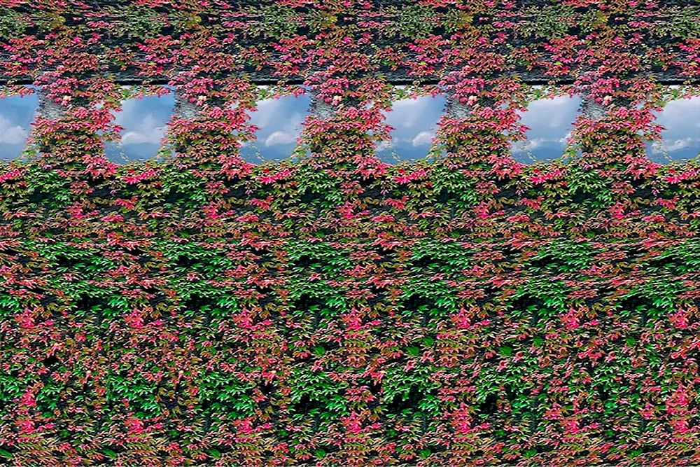 Buddha stereogram with answers