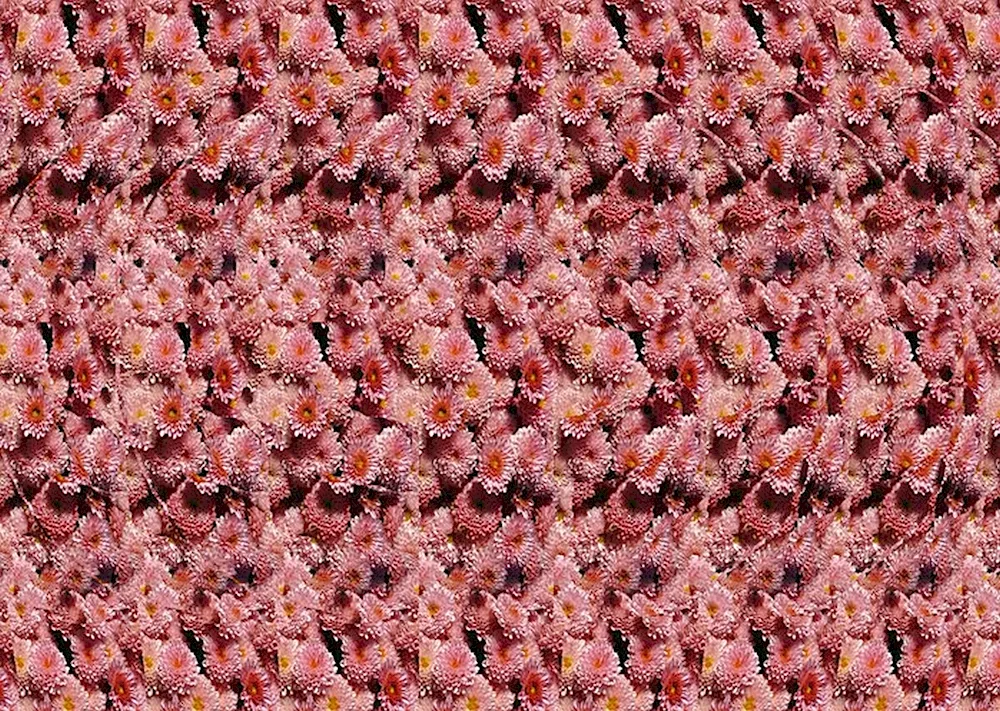 3d Stereograms