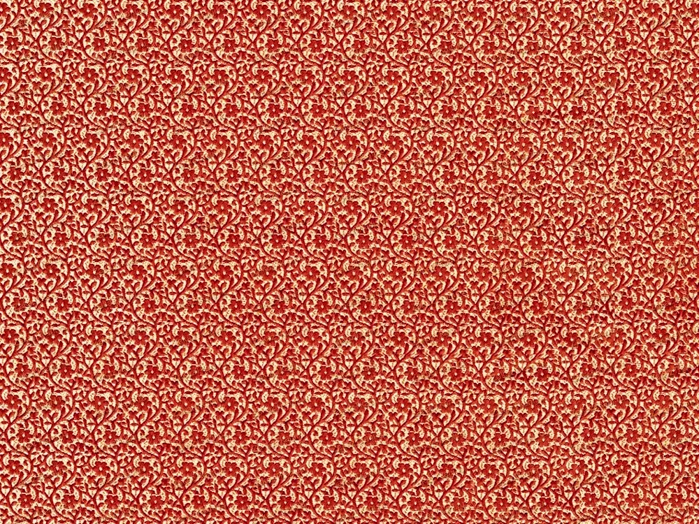 Crocodile in pineapple stereomap