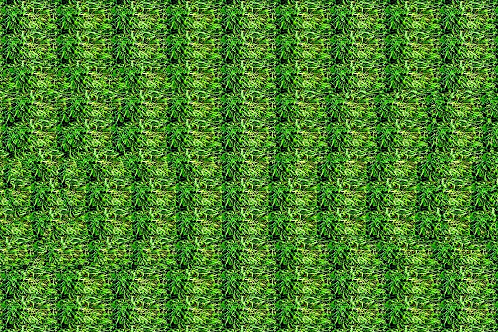 Hidden 3