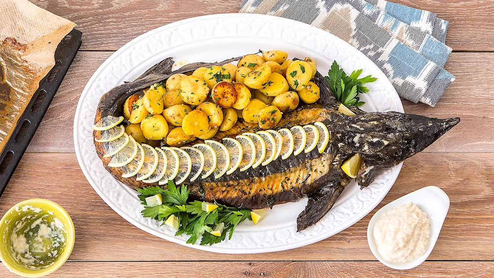 Pike stuffed Sudak pike