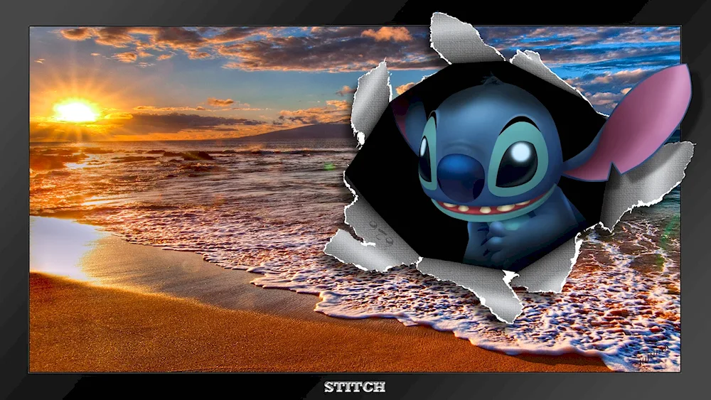Stitch ALOHA
