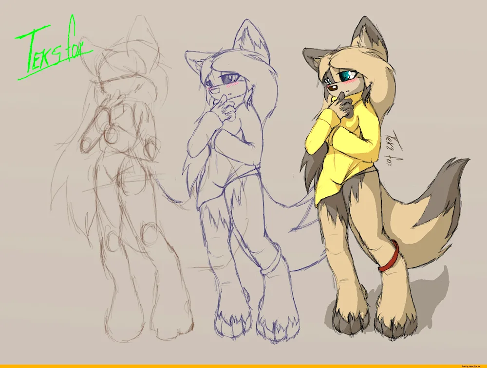 Furry drawing style