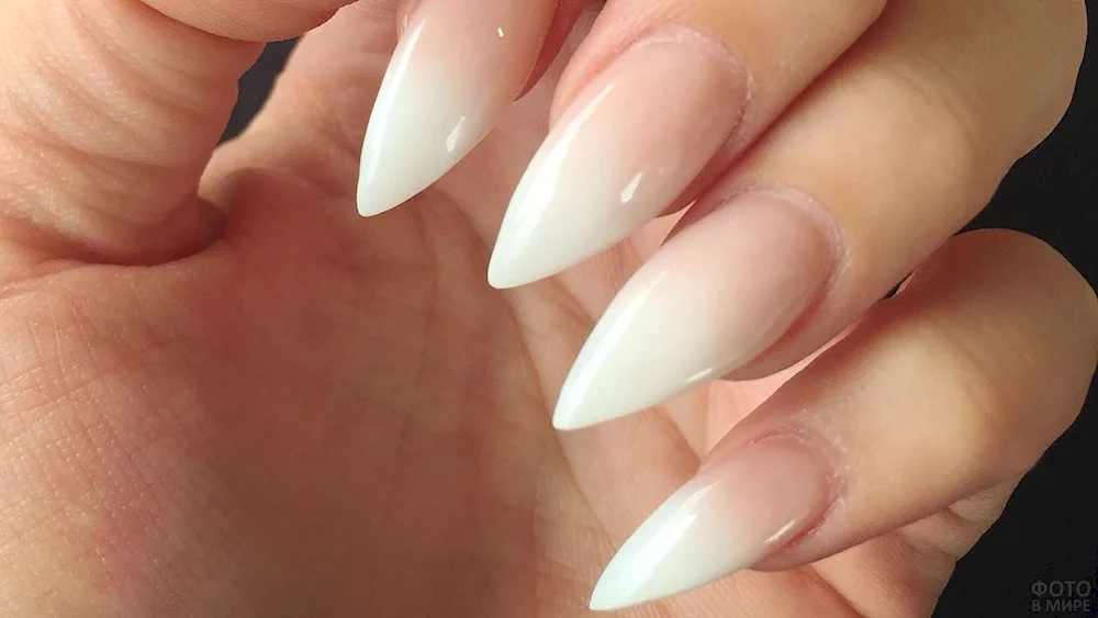 Lilac gradient manicure