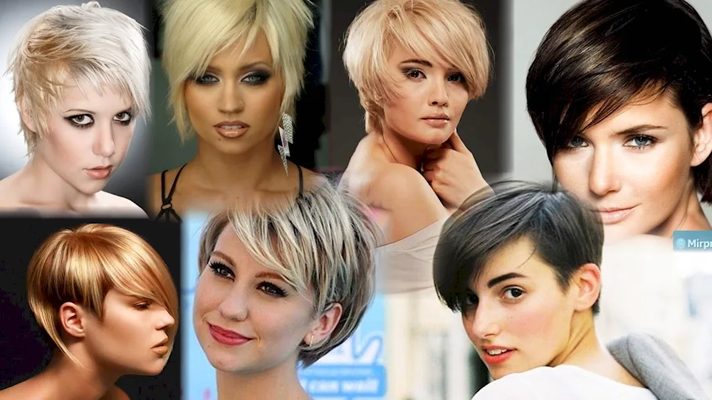 Stylish haircuts