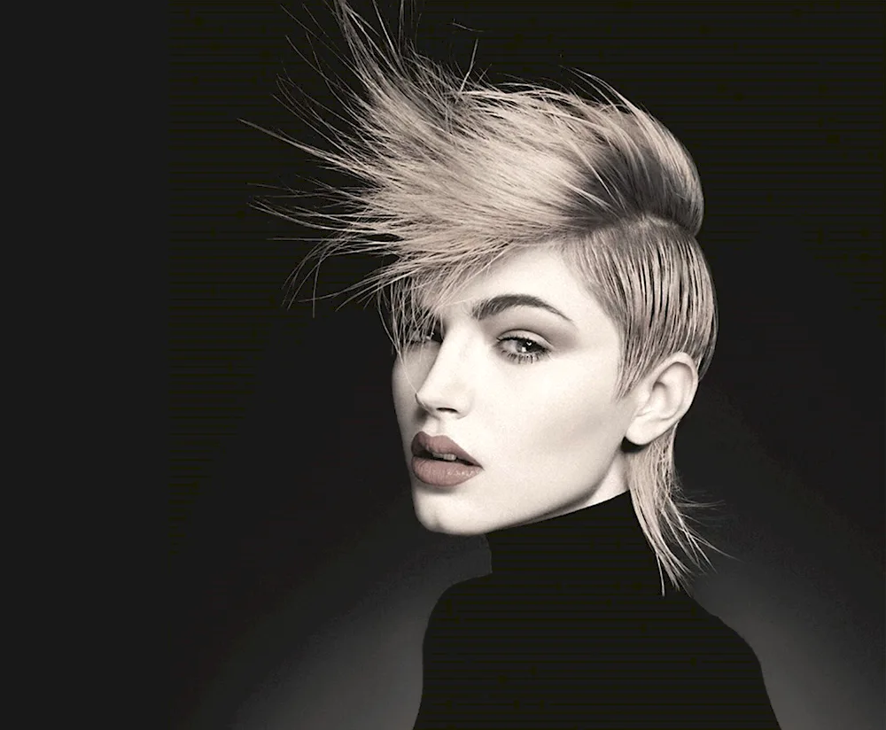 Stylish haircuts