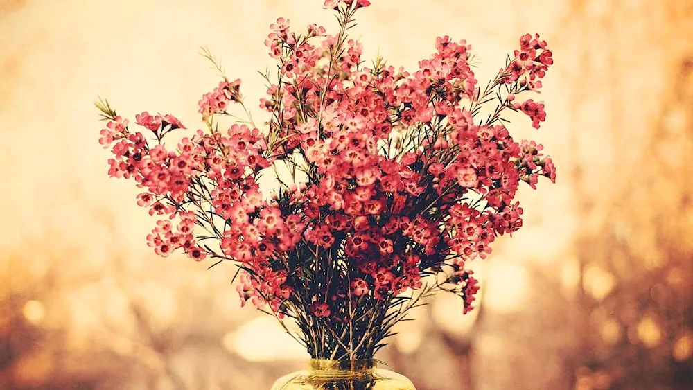 Stylish flowers