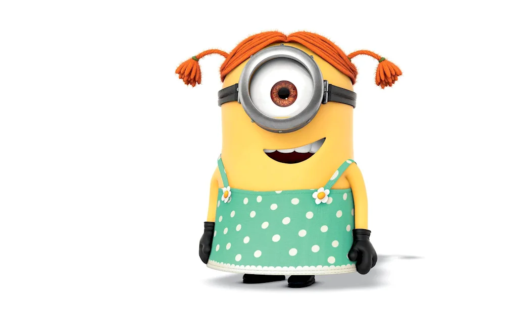 Stewart Minion
