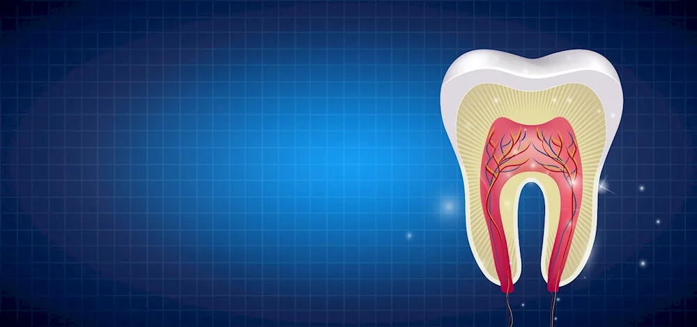 Dentistry teeth