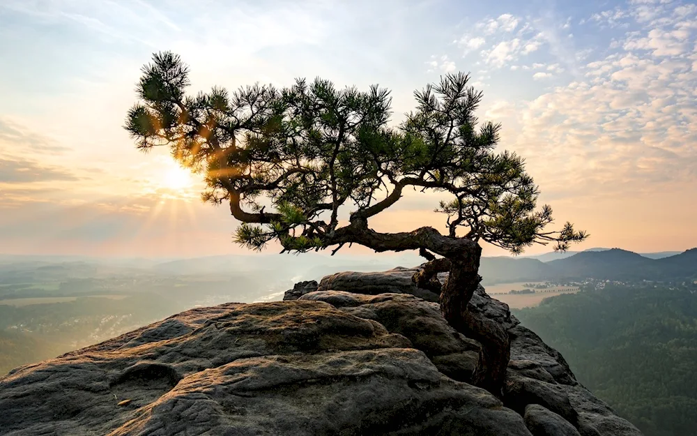 Stone- Appalachian Mountain