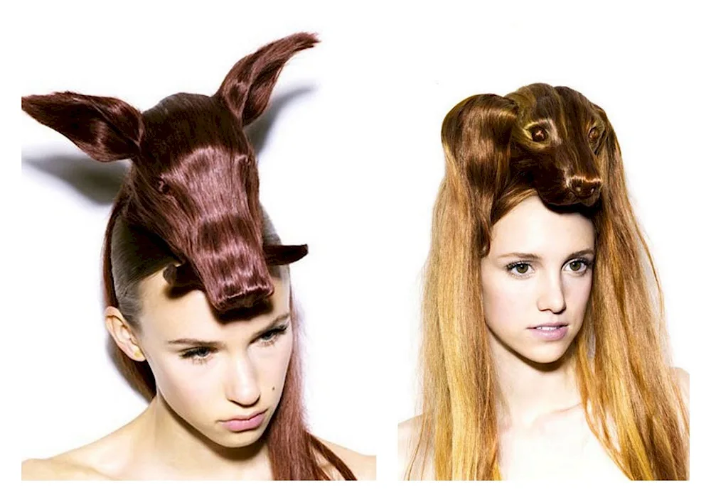 Funny hairstyles