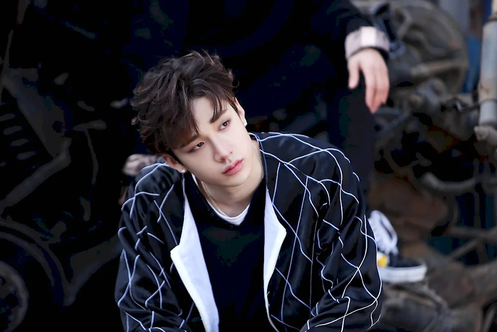 Hwan Hyunjin