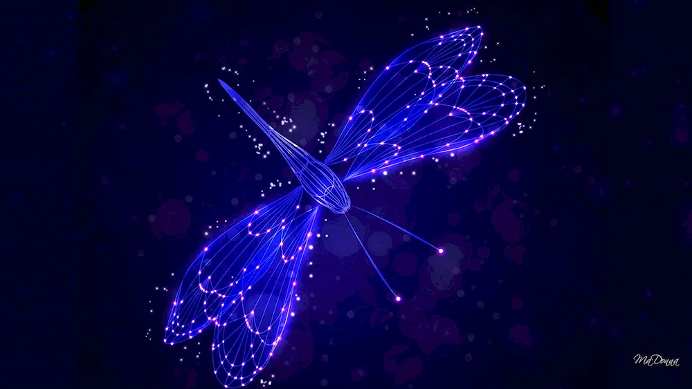 Braconfly blue Dragonfly blue Dragonfly