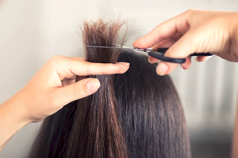 Cut the ends of your hair