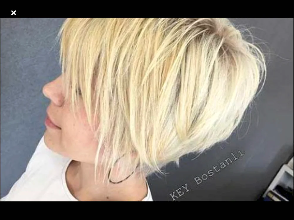 Pixie Bob with asymmetry haircut