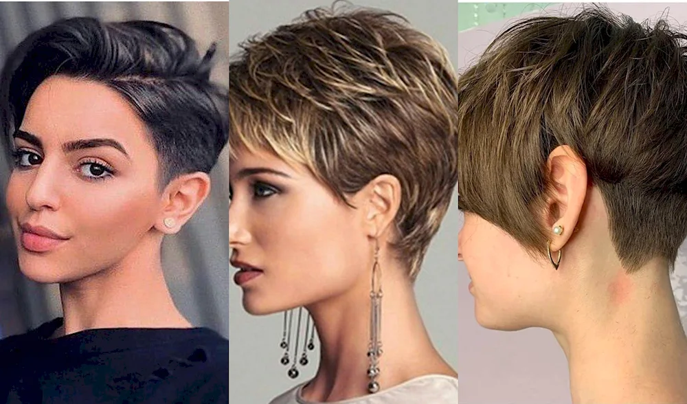 Pixie Bob haircut