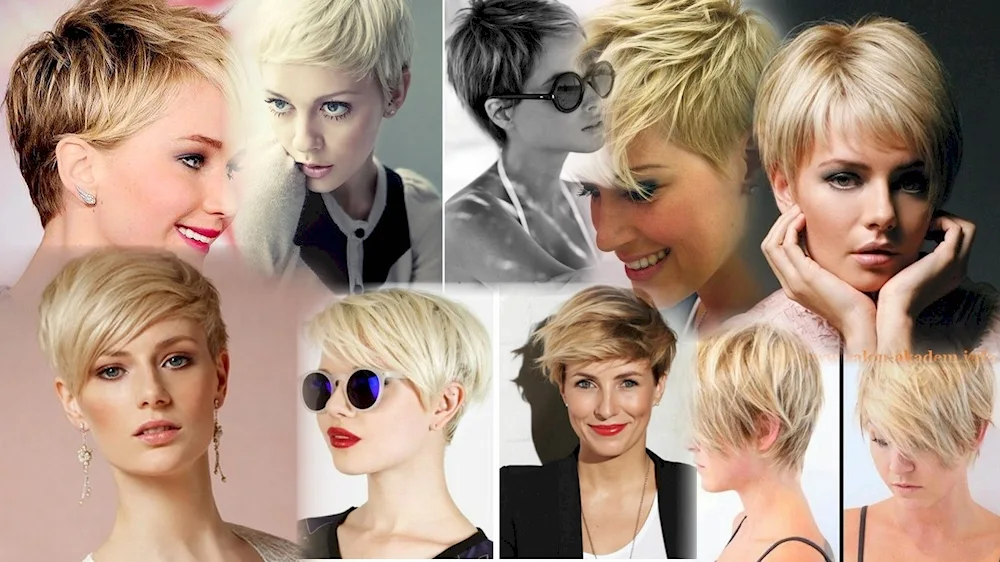 Pixie bob haircut with closed closed chamois