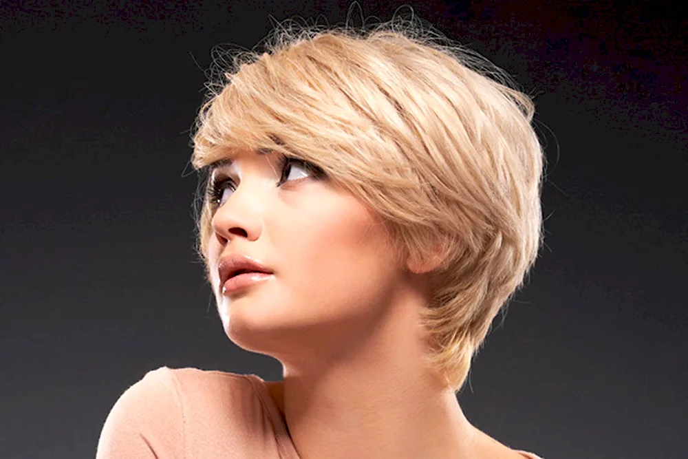 CareBob graduated Pixie bob