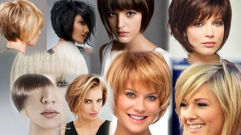 Alexander Todchuk shag haircut