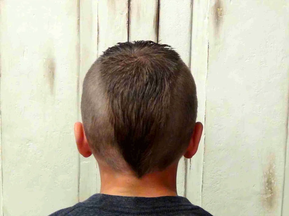 Men's haircut for boy's back view