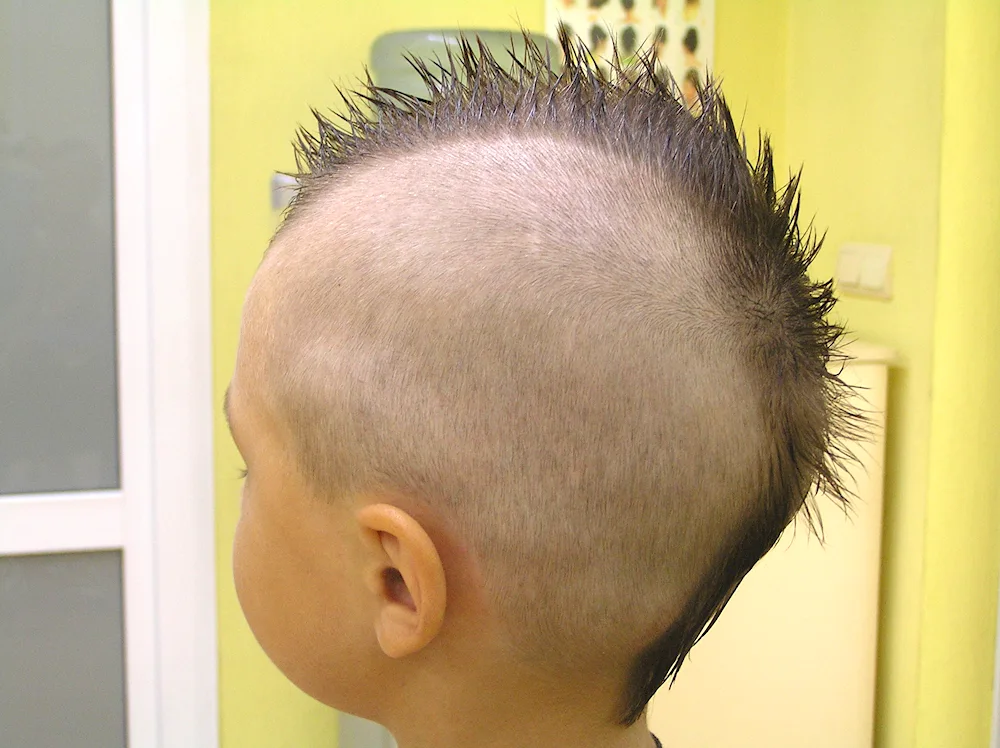 Dragon haircut for boys