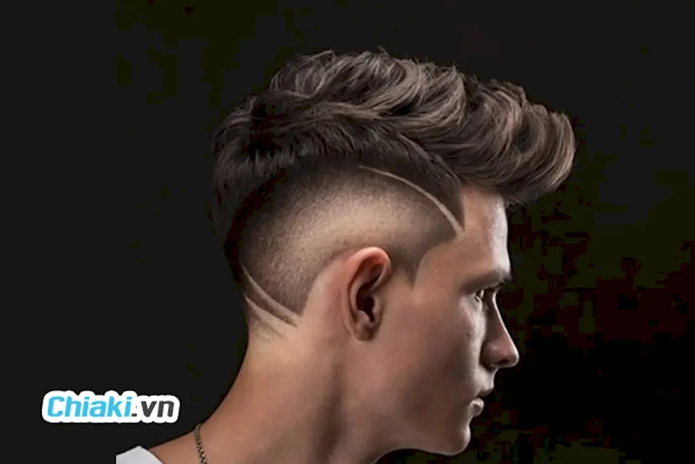 Andercat Pompadour