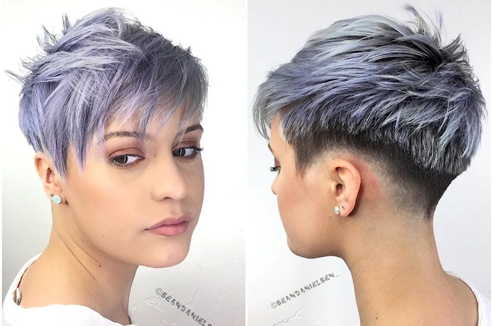 Garson Bob Pixie short haircut