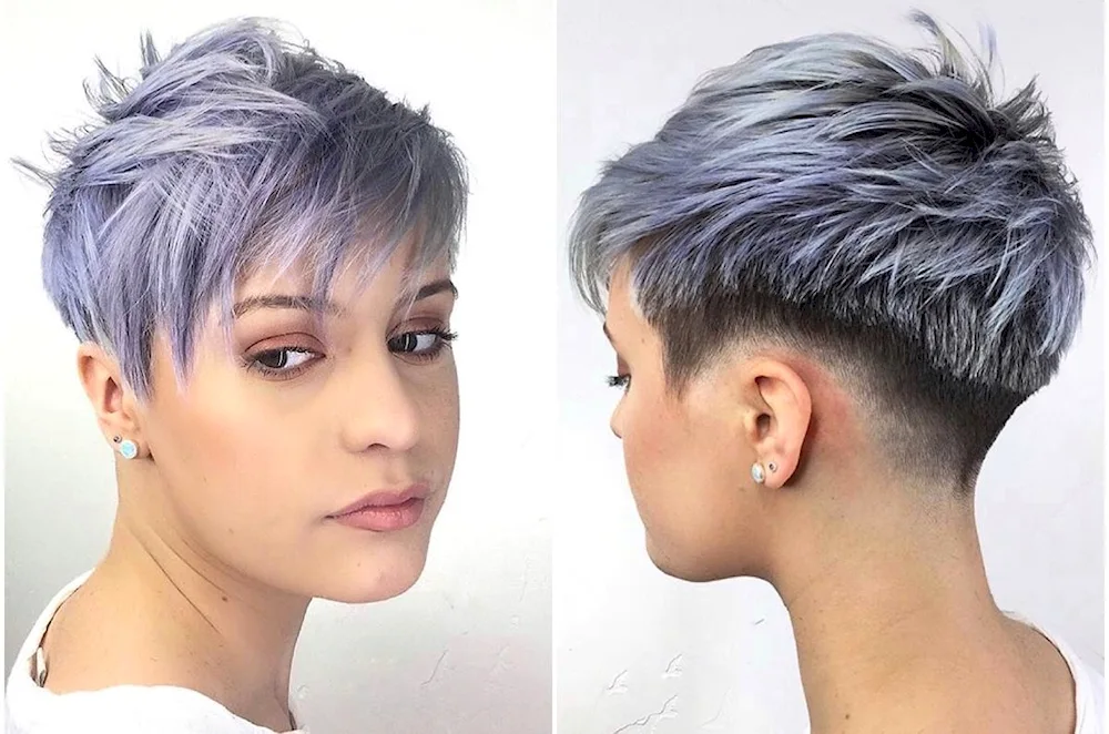 Garson haircut Pixie